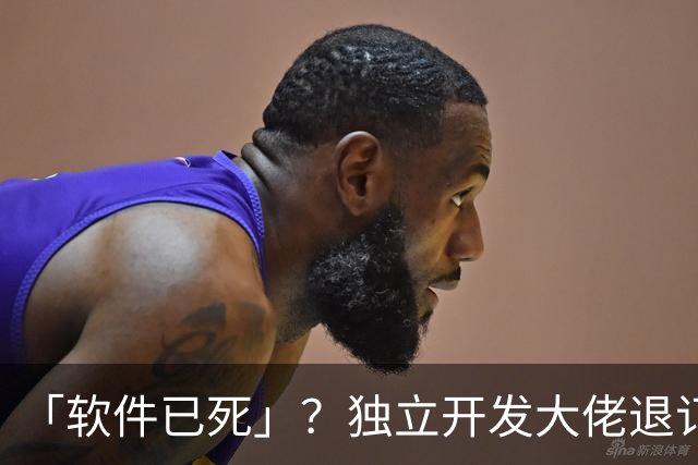 「软件已死」？独立开发大佬退订几乎所有工作软件：要啥让AI造