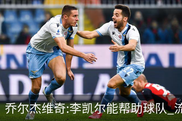 乔尔杰维奇:李凯尔能帮助球队 流程要去问篮协