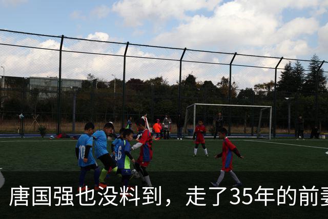 唐国强也没料到，走了35年的前妻，意外让两个残疾儿子承受了恶意