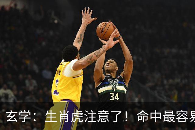 玄学：生肖虎注意了！命中最容易遇到的两大贵人，一个旺事业，一个助财运，若身边有这几个生肖，或许是你的福气来了