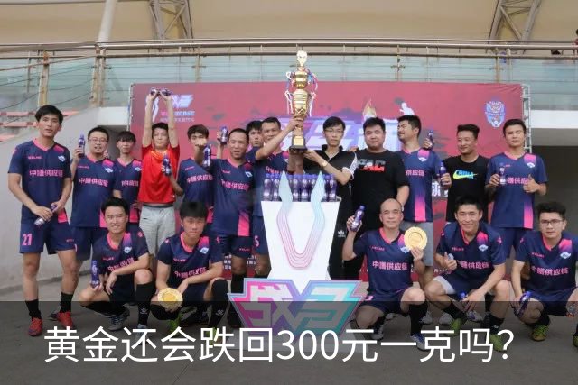 黄金还会跌回300元一克吗？
